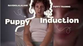 puppy training: crawl. bark. obey.