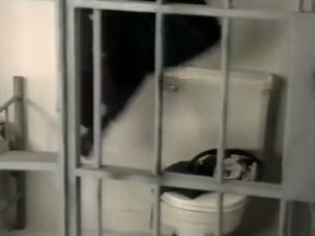Male Instinct 2