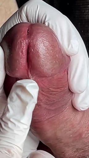 Glans Game with White Latex Gloves in Super-closeup. Alternative View.