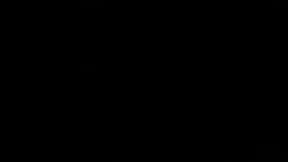 Sunny Jay&#8242;s Exclusive Adult Performance