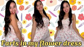 Farts in my flower dress