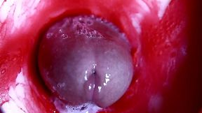 Steamy Wet Pussy&#x1F32E;&#xFE0F; And Thick Hard Cock&#x1F346;