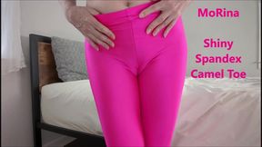 Shiny Spandex Camel Toe mobile vers