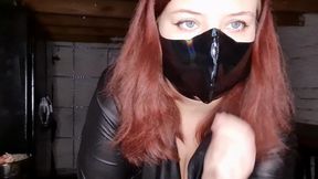 A quatre patte brutus apprend la discipline !