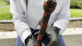 The Pleasure of Punishment, by the Goddess Kahina