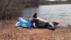 Galas Looner Whale & Shark Pop at the Lake - HD