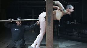 Shaved white chick fixed and stretched on the gigantic pillory