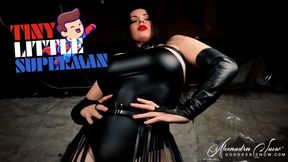 Tiny Little Superman