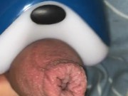 Robert Cum 1
