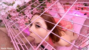 lucy doll pinkroom ep 27 cutie lucy doll is feral for cock balls man ass with nade nasty porn video