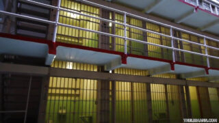 Dua MILF bertubuh seksi, Lisa Ann dan Skin Diamond, ditusuk ganda oleh pria kulit hitam dalam hubungan seks hardcore yang intens.