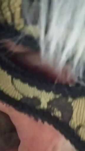 How I'm Gonna Suck Your Dick