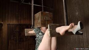 ”Big Boobed bound slave ass fucking fingered”