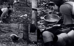 Pee in the Forrest