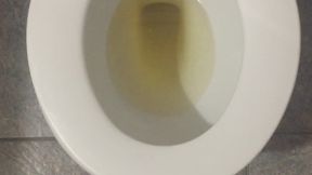 GOLDEN PEE NEW YEAR TOILET 2025