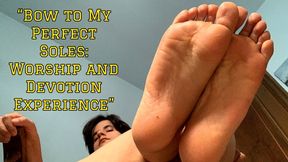 “Bow to My Perfect Soles: Worship and Devotion Experience”