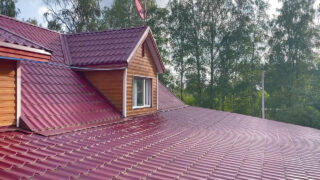 Ben Huller, một anh chàng nghiệp dư xăm trổ với dương vật khổng lồ, được người khác oral sex và thủ dâm trước khi quan hệ tình dục trần trụi ngoài trời.