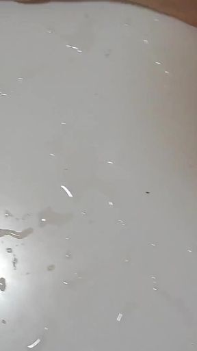Young Cock