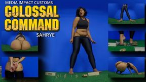 Colossal Command - Sahrye - Ass - Giantess - Crush - Pov