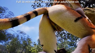 Minotaur fucks Tigress girl in The Meadow | 3D porn - Wild Sin