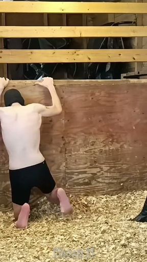 Sadistic Stables Sack Smashing Extreme Ballbusting and Cropping Punishment