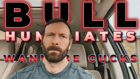 Bull Calls Out Wannabe Cucks