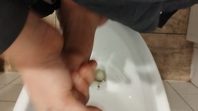 Toilet Masturbation POV