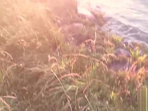 Huge facial by the sea at sunrise