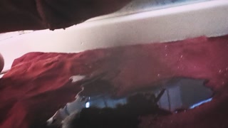 Oops! Couldn't hold it for long...