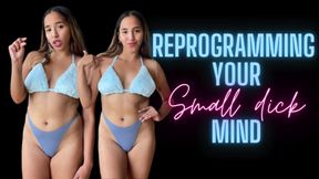 Reprogramming Your Small Dick Mind