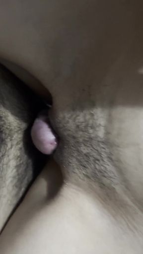 Oops! Fucked My Neighbor's Stepsister