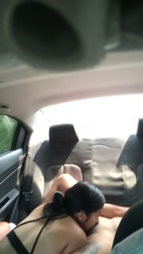 driver records lesbian couple sex