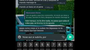 CONVERSACI&Oacute_N DE WHATSAPP CON NOVIA DE MEXICASERO