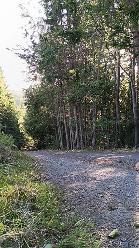 Scooter Rider Outdoor Masturbation