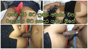 Hence He Thrust His Dick Into Her Anal in a Slow and Steady Mode Sri Lankan Sexy Teen Girlfriend with White Big Ass