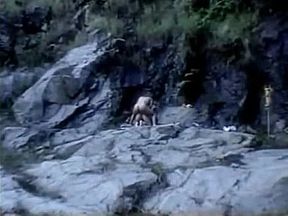 Dupla Penetração com Loira Adriana Moreira no Mato