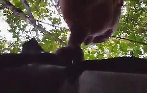 Sucking in the park
