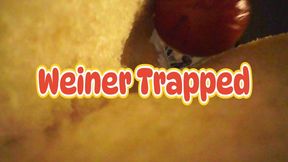 Weiner Trapped