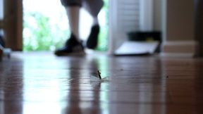 Tiny House Slave
