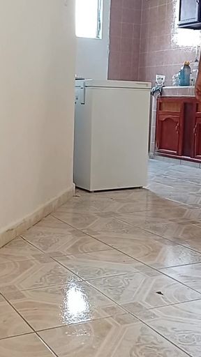 Key moment from &quot;I left the cell phone recording while the lady did the cleaning in apartment 3&quot;