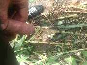 Orinando en el campo