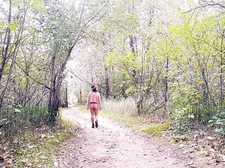 Bottomless fall walk in the woods