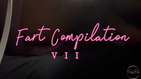 Fart Compilation VII