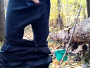 went for mushrooms and wetted the leaves
