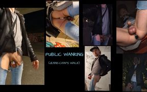 Public Wanking
