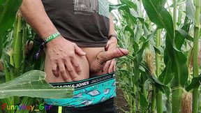 Dirty jerking off my big cob in the cornfield and showing my asshole. (S)