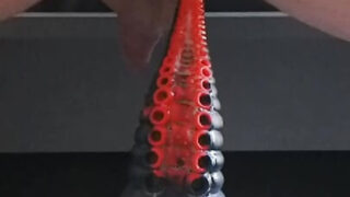 Solo jente klipp av pluss-size europeiske lubne homofile horer anal knullet