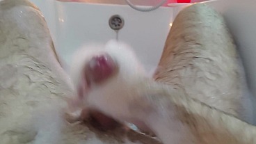 Midnight Foam — Private Bathroom Solo