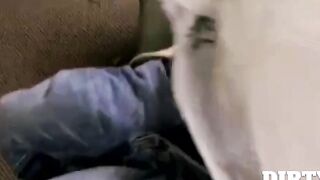 Dirty Boy Society's Lean Twinks - Anal Threesome