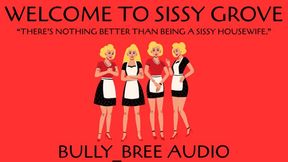 Welcome To Sissy Grove Audio
